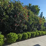 2 Bedroom Apartment With Garden Views In Sydney