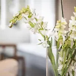Luxurious Spacious Onebed Apt Close To Bondi Beach