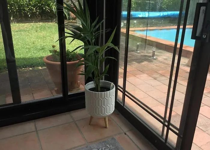 Frangipani