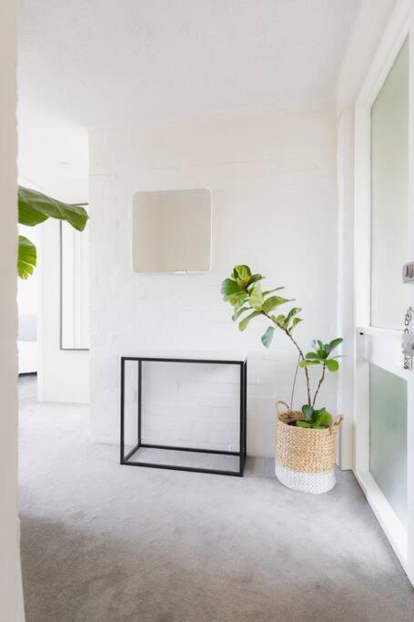Boutique Paddington With Cbd Views