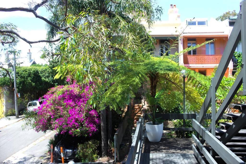 Apartment Boutique Paddington With Cbd Views