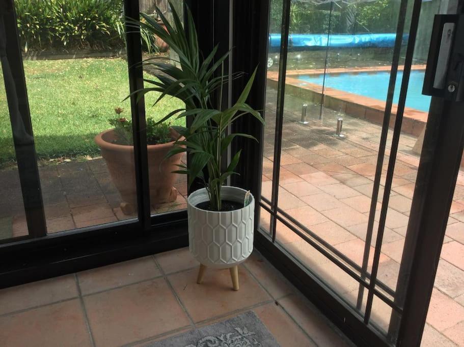 Frangipani *