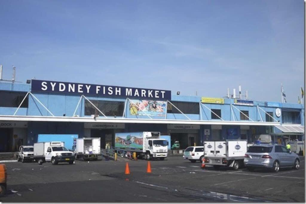 Walking Distance To Darling Harbour *