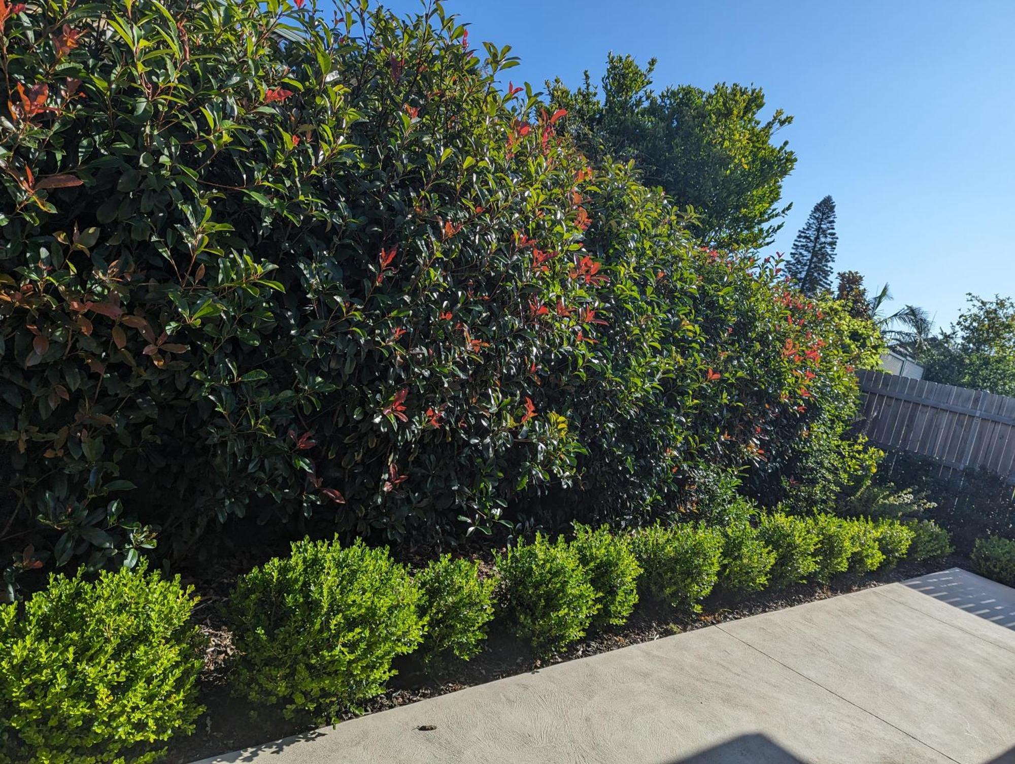 Guest house 2 Bedroom With Garden Views In