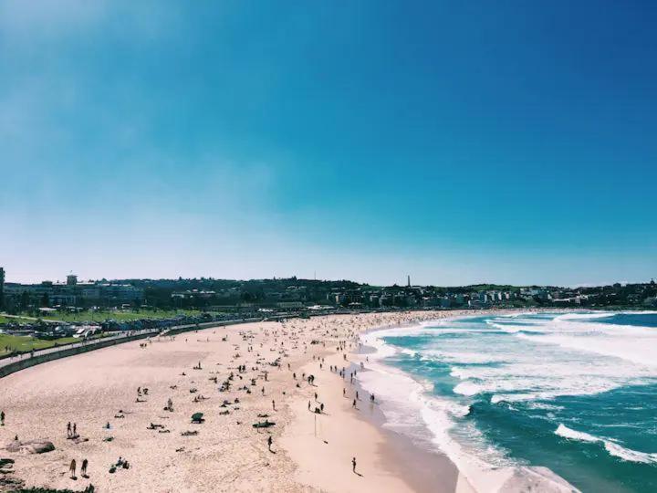 Luxurious Spacious Onebed Close To Bondi
