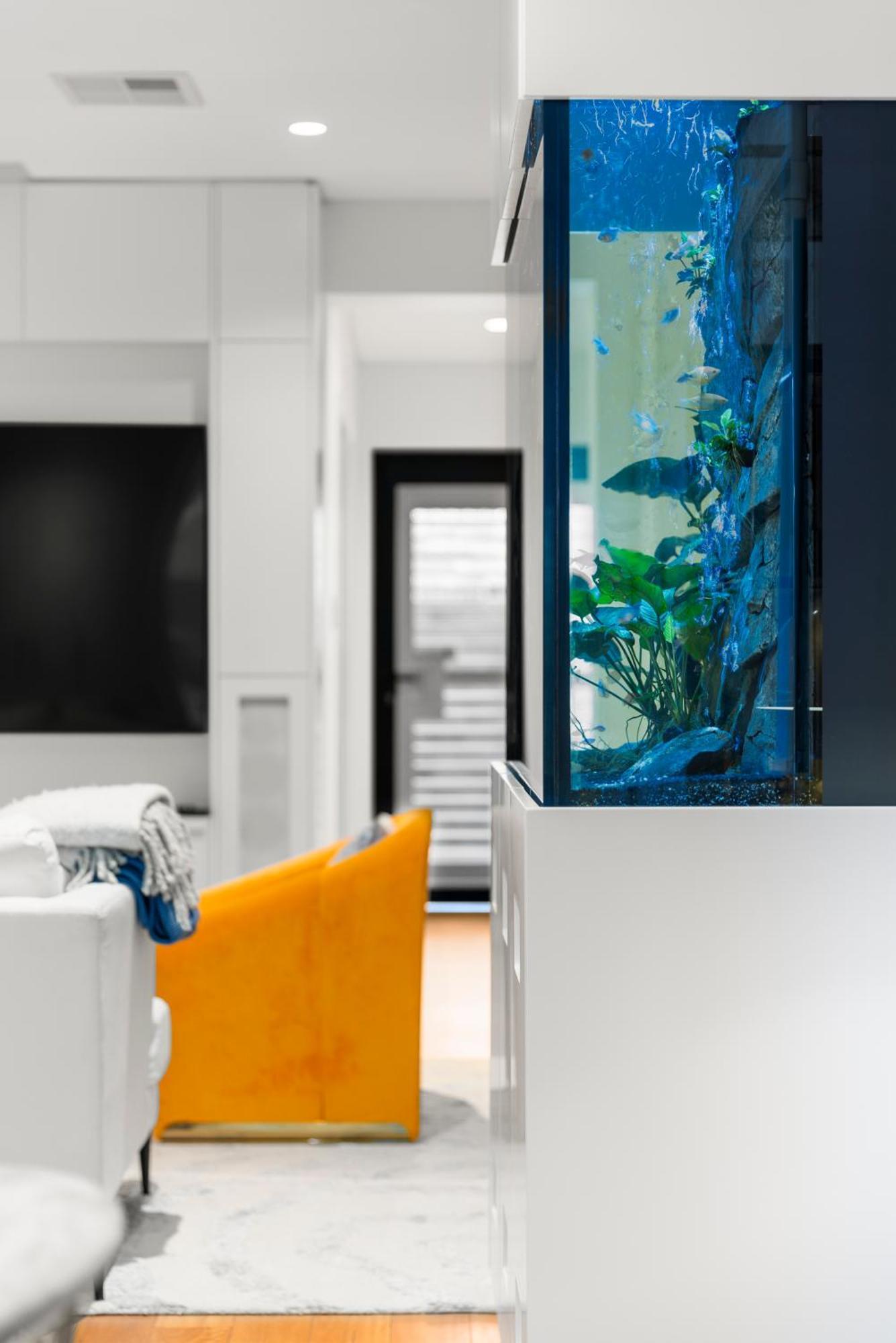 Apartment Luxurious 3-story Terrace In Potts Point *