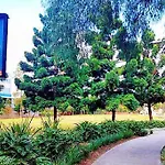 Parramatta Comfy- 2Bd-Free Parking -Netflix-Westfield