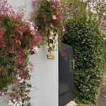 Woollahra Cottage Close To Bondi
