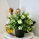 Lux & Quiet Apartment In, Potts Point