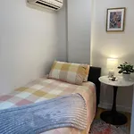 Compact Studio For Solo Travellers