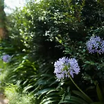 Greenwich Luxury Near Wharftraincbd Steps To Sea