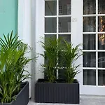 Easy Central Studio