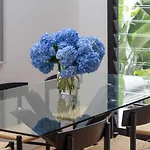 Balmain Resort