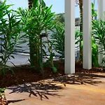 The Bungalows At Bondi Prime 12