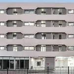 One Bedroom Oasis In Strathfield