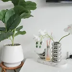 Modern Minimalist Haven