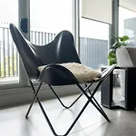 Modern Minimalist Haven