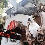 Zing Backpackers