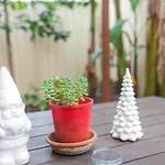 3 Bedrooms Holiday Home Near Sydney Airport