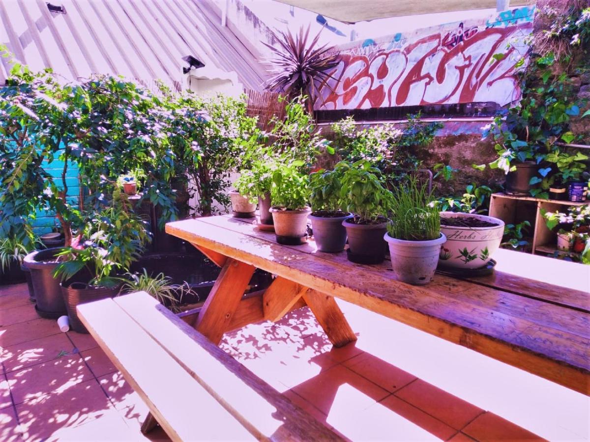 Hostel Asylum Sydney Backpackers Hostel *