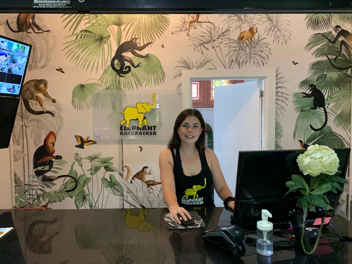 Elephant Backpacker Sydney
