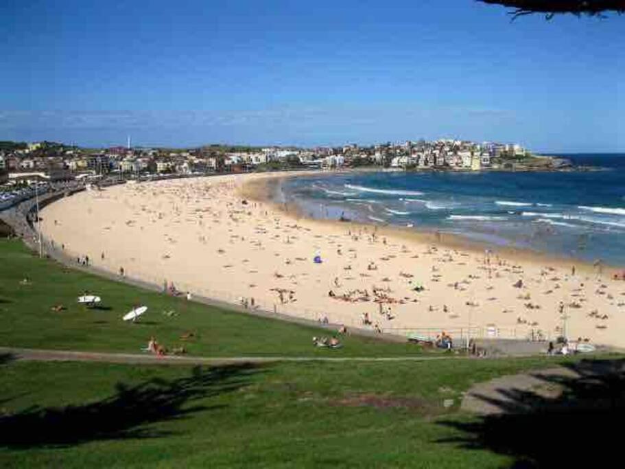 Apartment Stylish Bondi Beachside Abode *