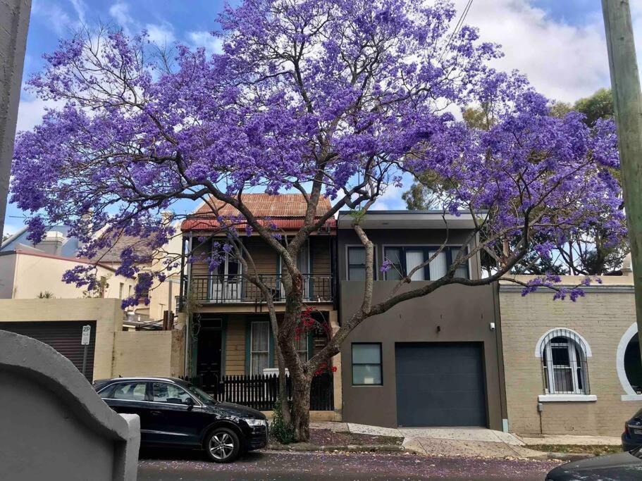 Converted Garage On Foss - King Bed Guest house Sydney