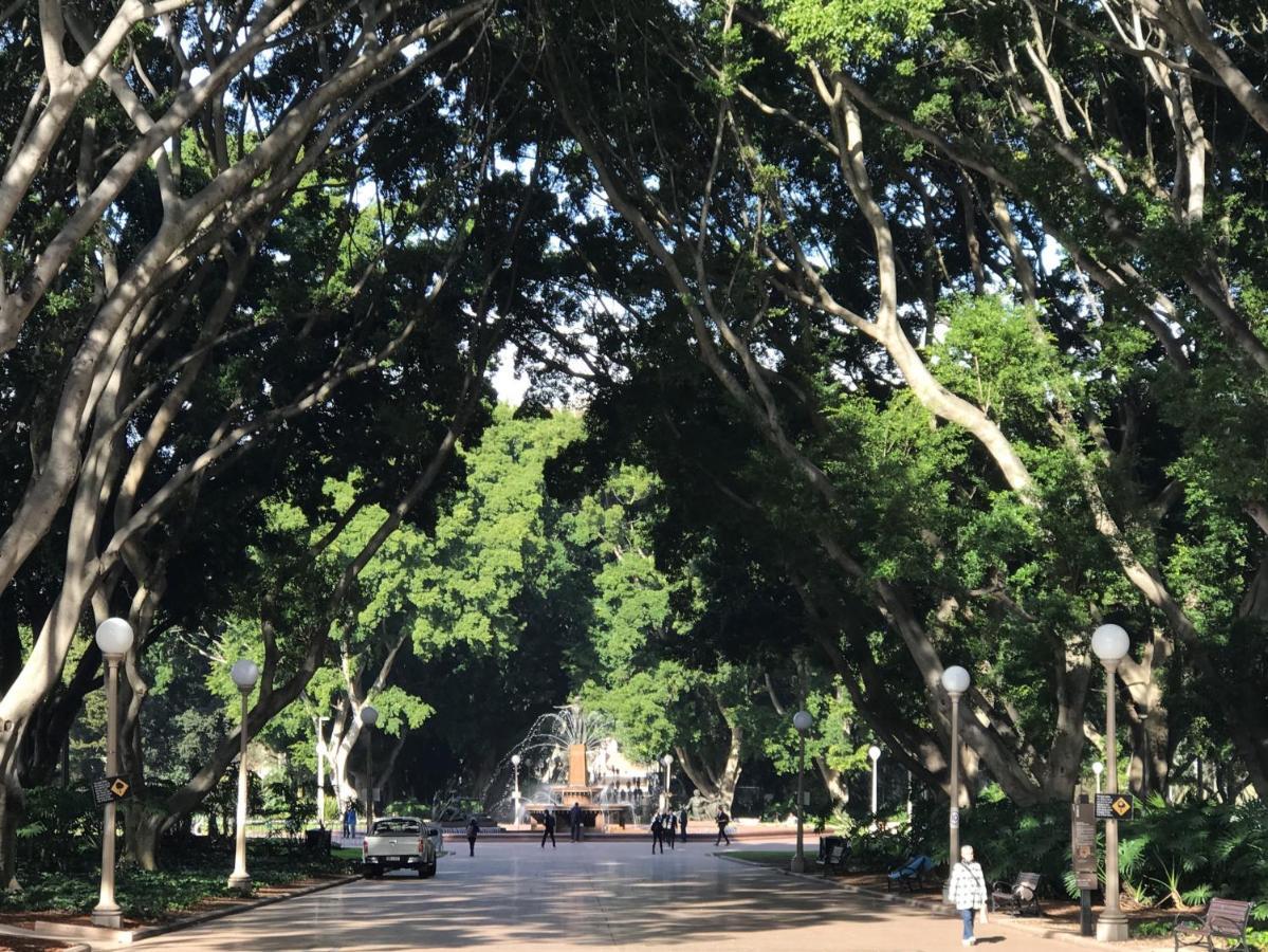 Quiet Private In Kensington Near Unsw, Light Railway&bus 1d Casa de férias