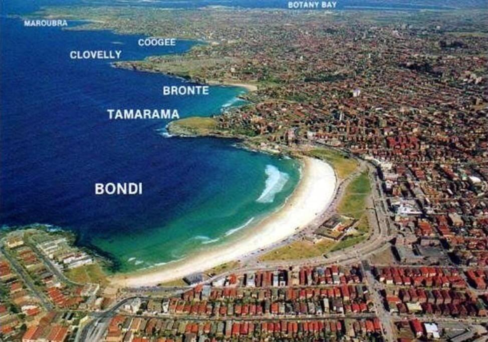 Lovely Modern Coogee *