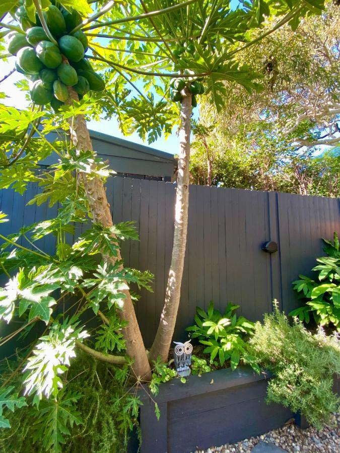 The Mitchell Bondi Garden 4 * Sydney