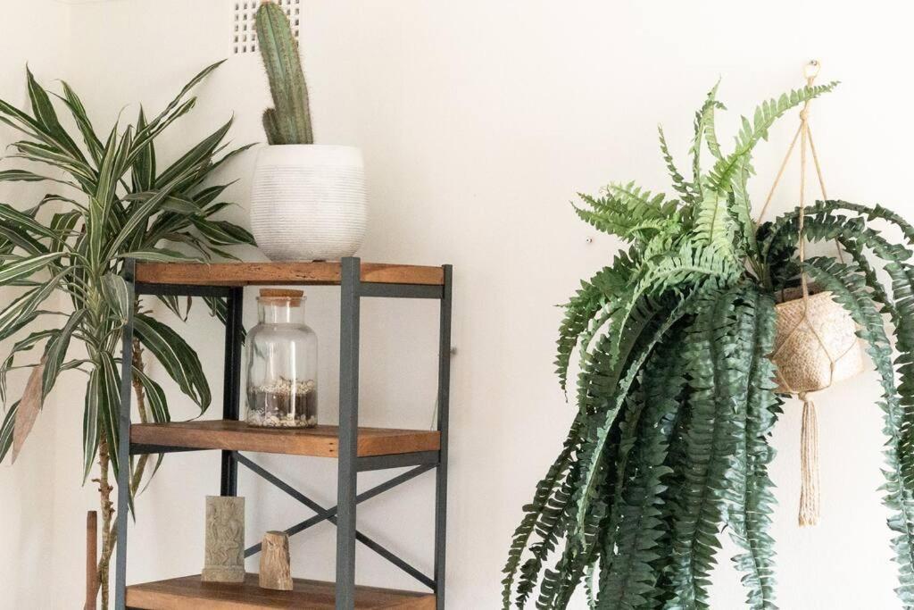 Leafy Hideaway // Balmoral On Doorstep * Sydney