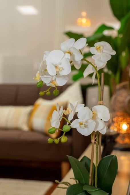 Luxury Retreat - 4bed House W/parking - Mins From Cbd Villa