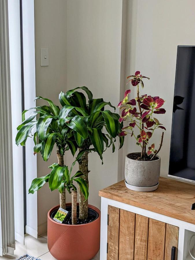 Shared Bright And Cozy In Parramatta Cbd - Close To Everything Privatunterkunft *