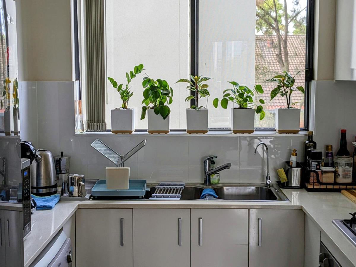 Shared Bright And Cozy In Parramatta Cbd - Close To Everything Privatunterkunft Sydney