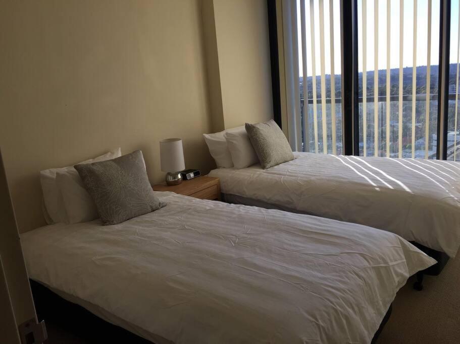 Large Elevated St Leonards Apartment Sydney