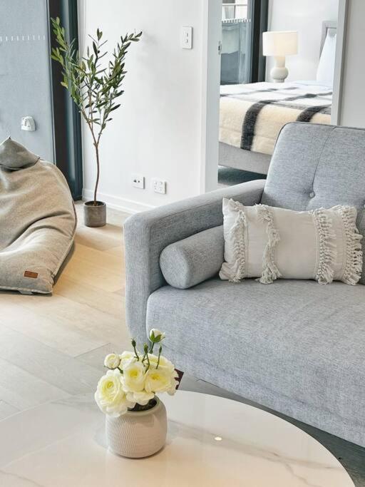 City View Designed In Bondi Junction Sydney