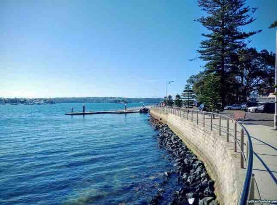 Apartment Chic Rose Bay Pad With Huge Outdoor Sunny Balcony Sydney