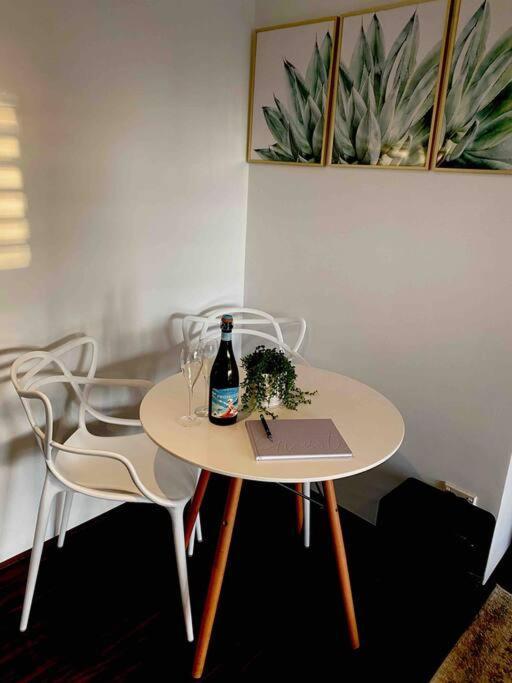 Apartment Chic Rose Bay Pad With Huge Outdoor Sunny Balcony Sydney