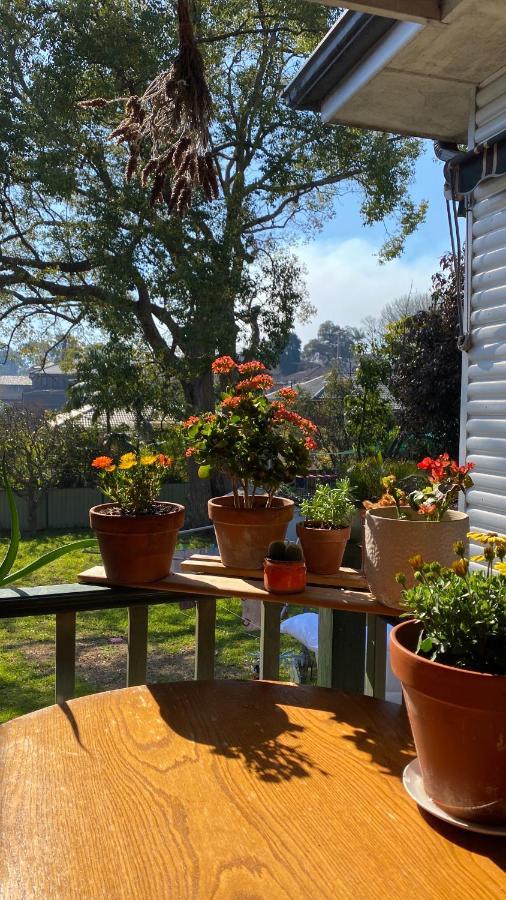 Private In Marsfield/macquarie Park/uni/eastwood Homestay *