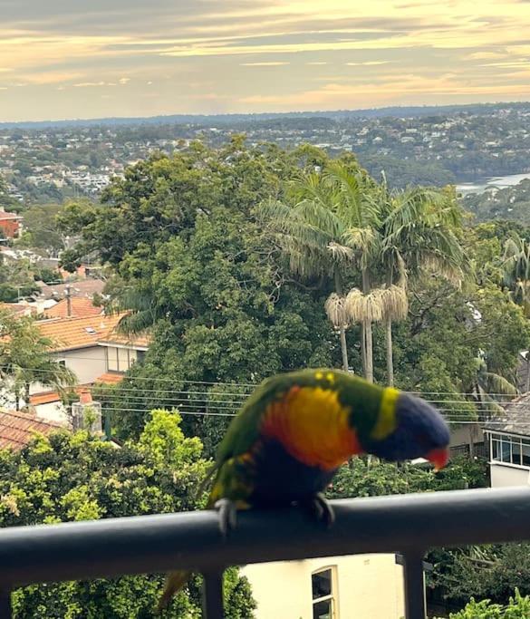 Mosman Views, 2bed, Parking, 15min Walk To Apartment
