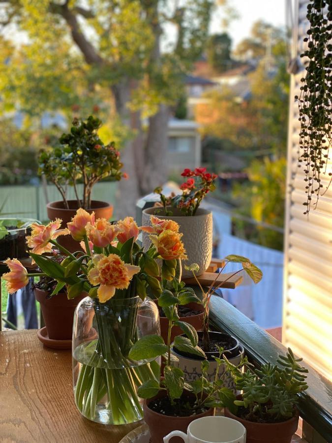 Hospedagem domiciliar En-suite Guest Ryde/macquarie Park/eastwood Sidney