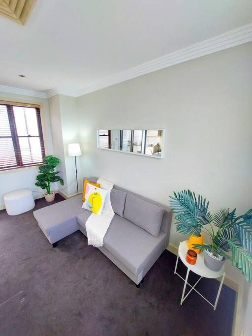 Perfect And Modern Broadway-chippendale Apartment Sydney