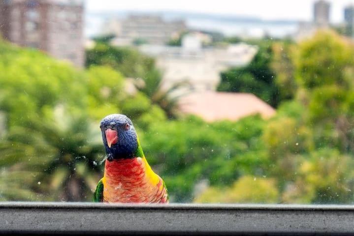 With Stunning Views Free Parking * Sydney