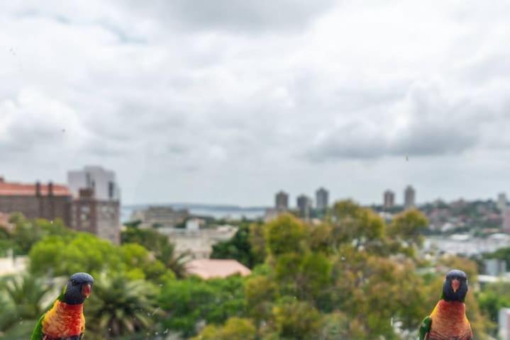With Stunning Views Free Parking Apartment *