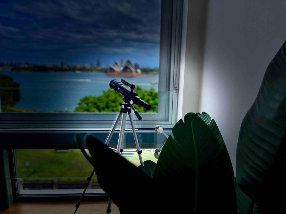 Opera & Harbour Bridge View Penthouse *