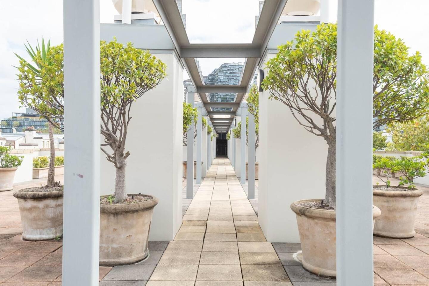 Charming Chippendale Escape With Rooftop Pool