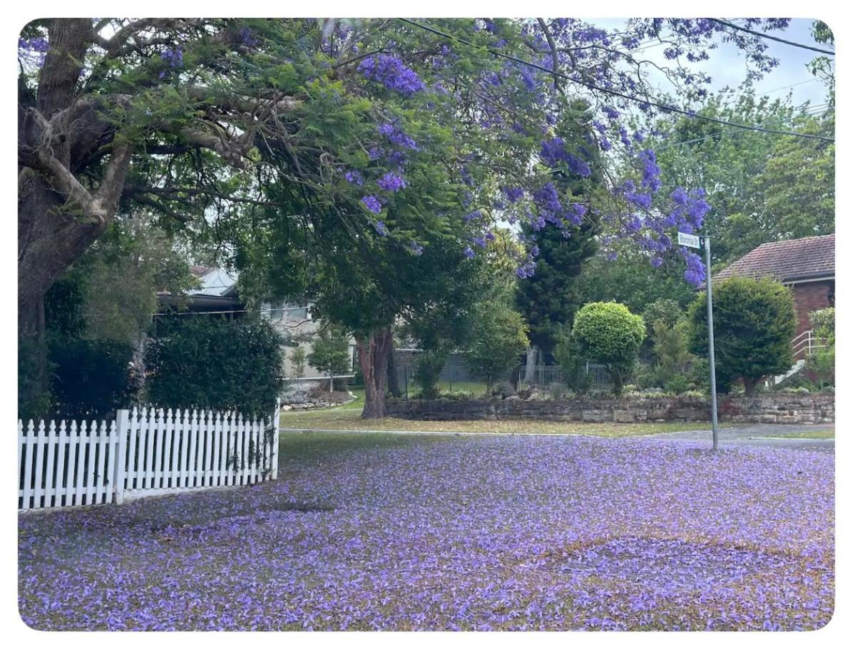 Villa Balgowlah As *