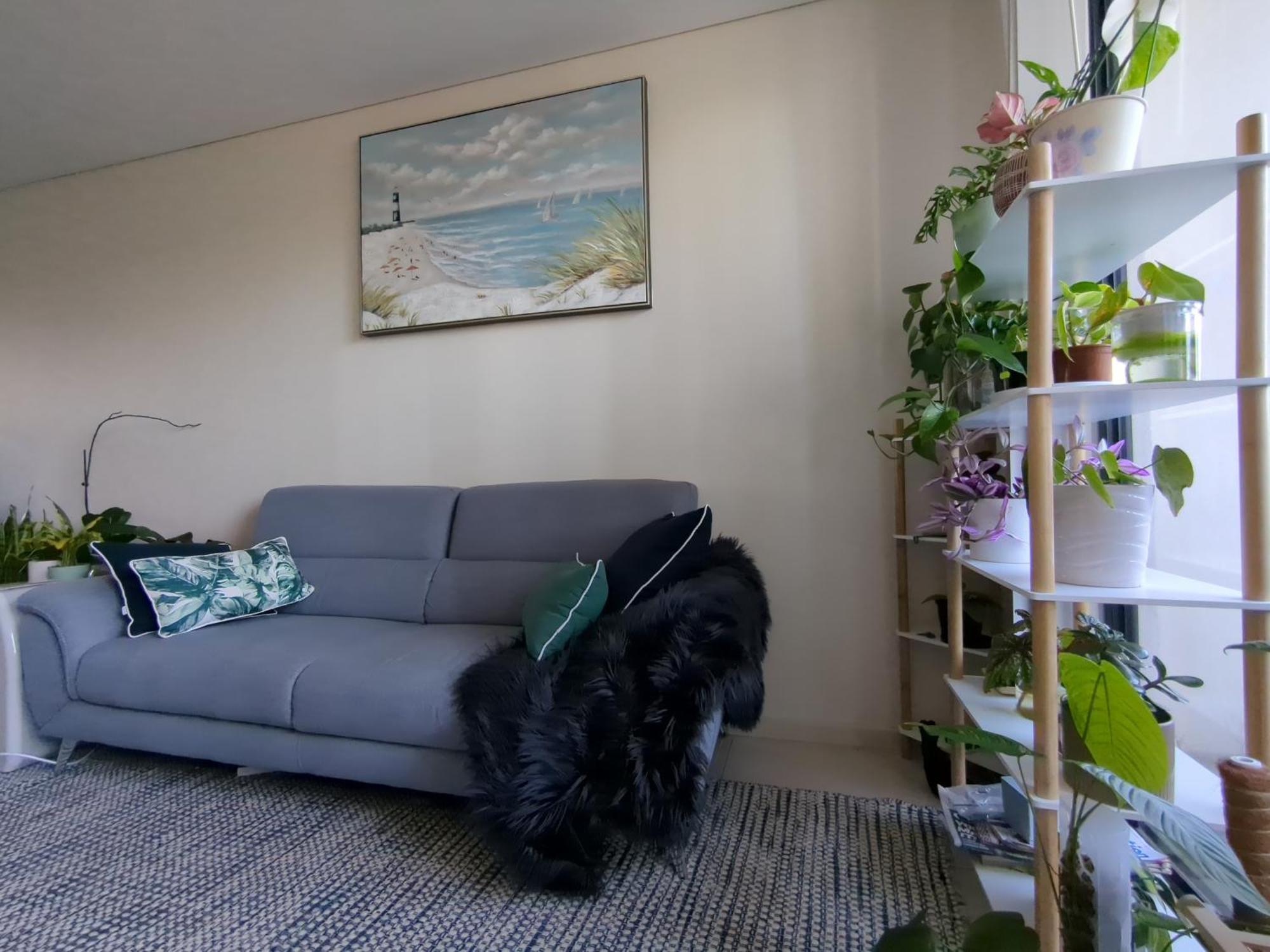 Privatunterkunft Shared Bright And Cozy In Parramatta Cbd - Close To Everything *
