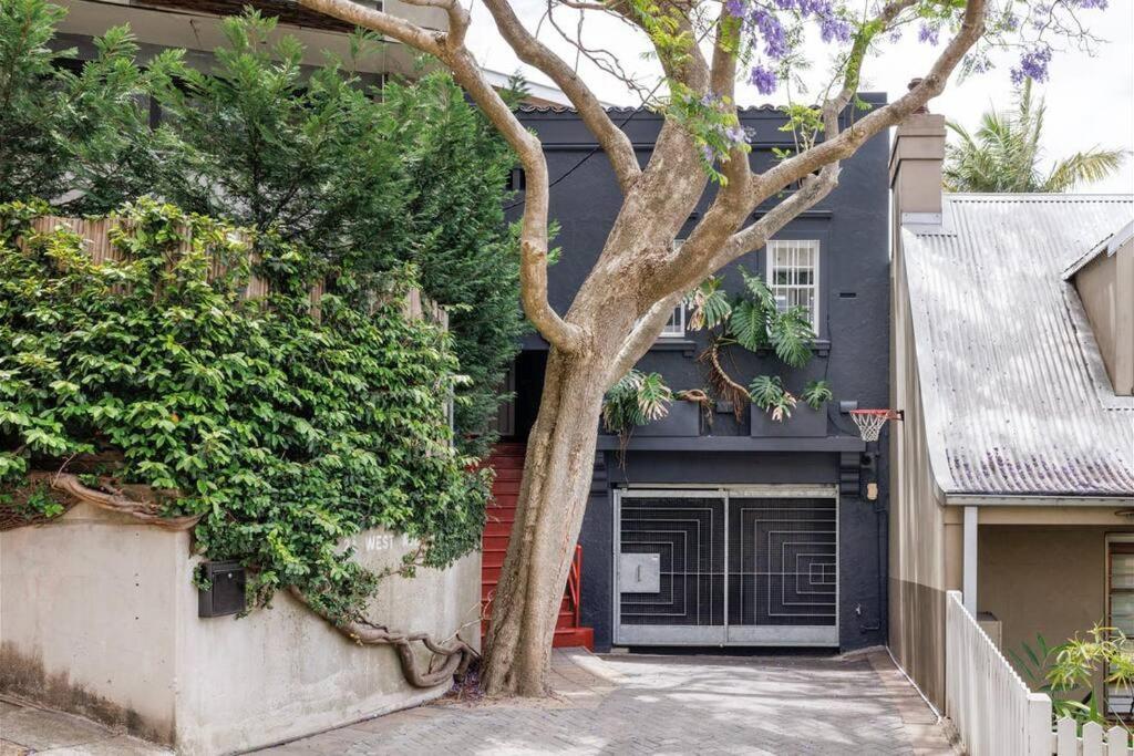 Spacious Darlinghurst *