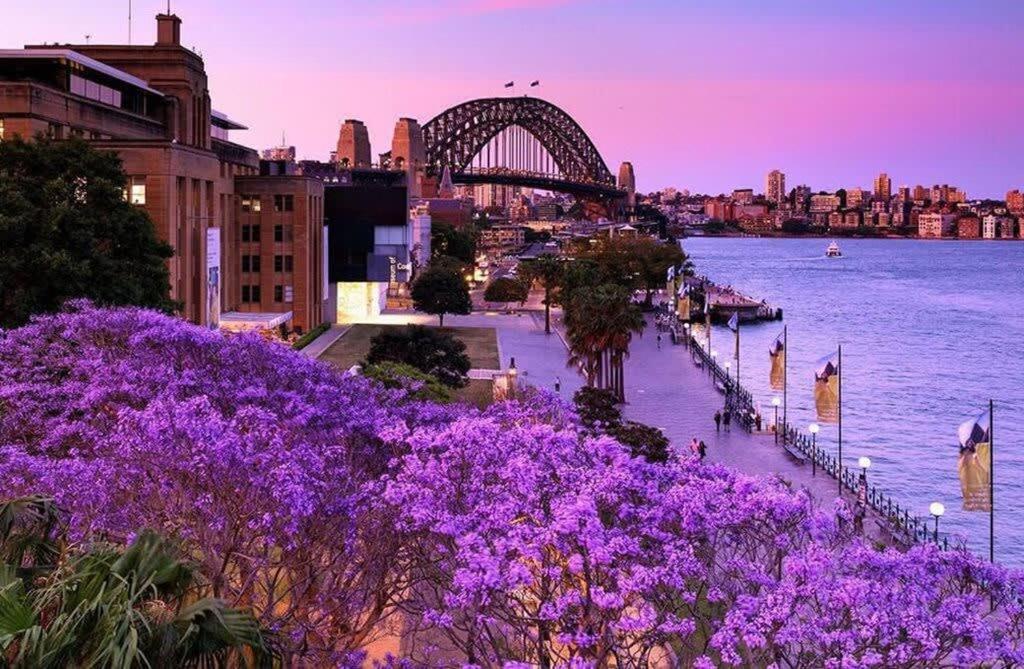 Abode Sydney